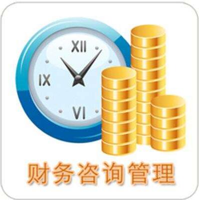财务咨询 企业发展与个人财富增长的关键引擎